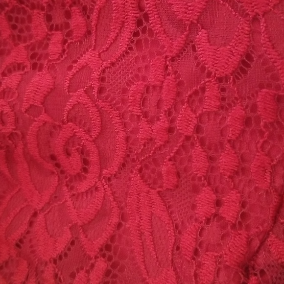 City Triangles Plus Size Lace Roses Overlay Fully Lined Dress - Picture 5 of 8